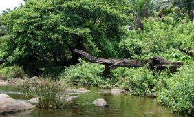 Athirappilly Athirappilly